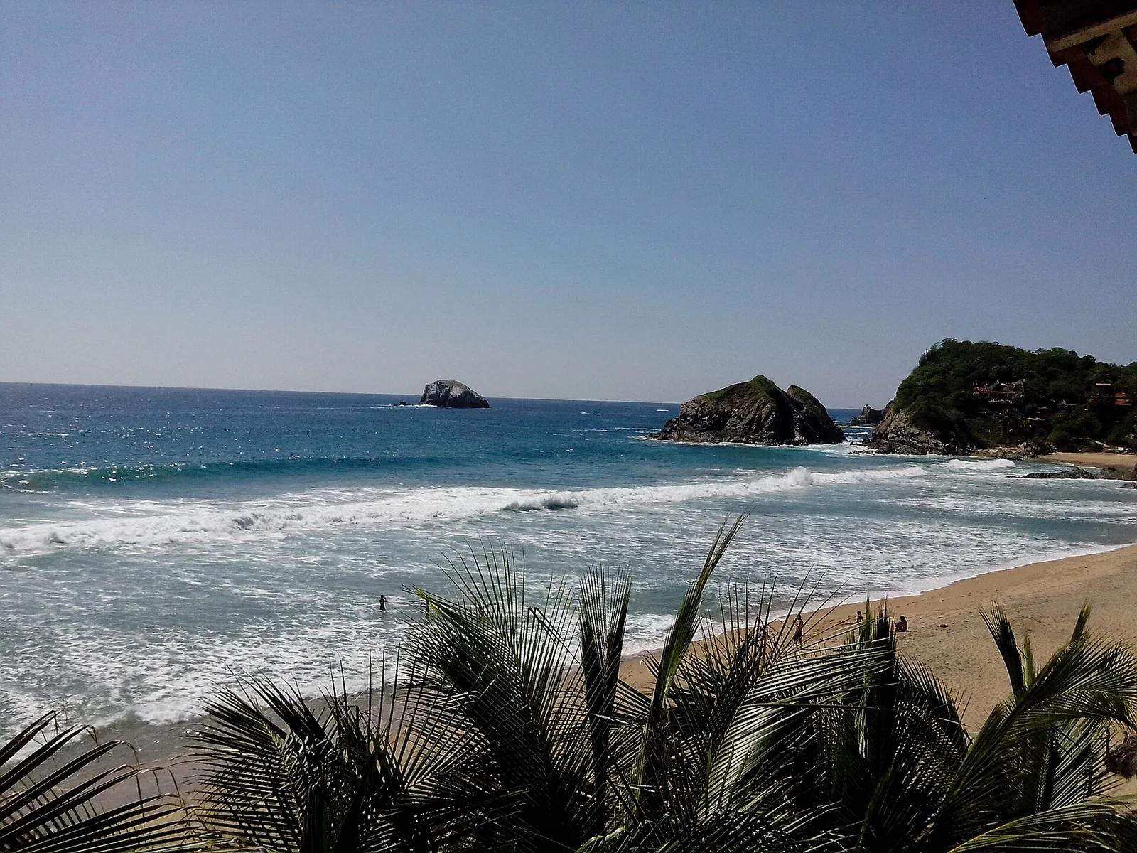 Playa de Zipolite vista entre palmeras: olas rompiendo en una arena larga y dos islotes rocosos frente a la costa.