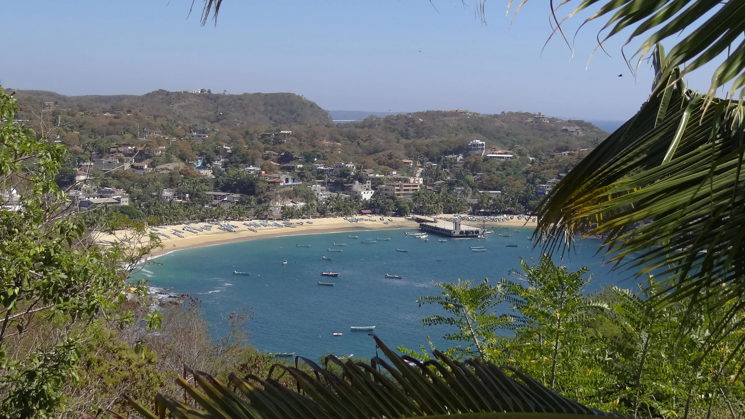 La bahía de Puerto Ángel en forma de herradura vista desde el cerro, entre palmas: la playa con las lanchas de pesca varadas en fila, el muelle adentrándose en el agua, más lanchas fondeadas y el pueblo trepando por las lomas.