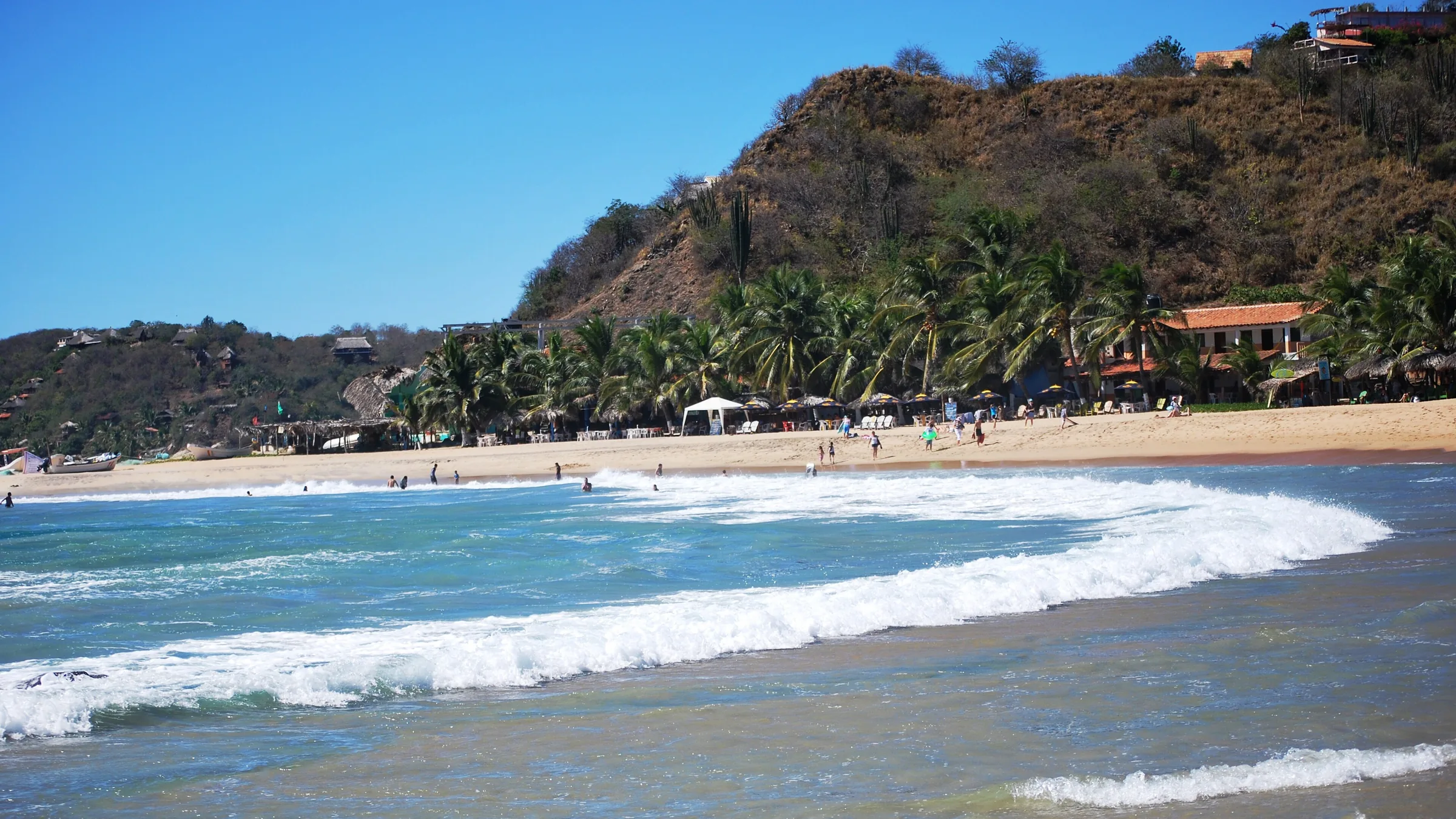 La bahía protegida de San Agustinillo: olas rompiendo suaves sobre la arena, bañistas dentro del agua, una hilera de palmeras y palapas al fondo de la playa y el cerro seco detrás del pueblo.